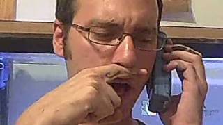 Piebald Trivia Final Bonus