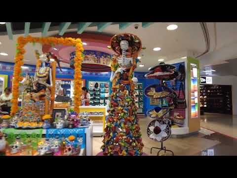 Passeio a pé pelo aeroporto de Puerto Vallarta (PVR)