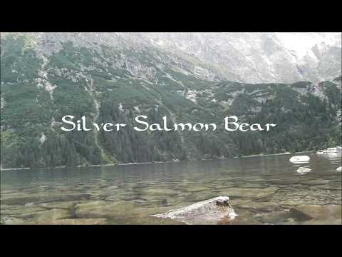 🎵 🌸 Carlos Nakai & Various Artists - 1 Hour of Native American Flute with Birds Sounds - Spring #2