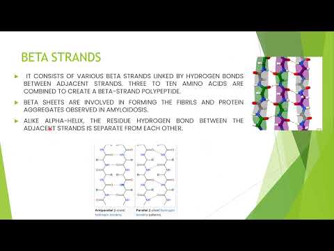 Basics of Amino Acids and Proteins