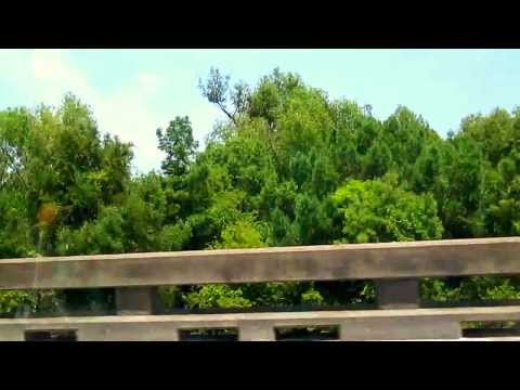 Across the USA with Bob Dylan (Louisiana). 10: Walking down the Highway (Dylan), cover by Paul Hall. video thumbnail