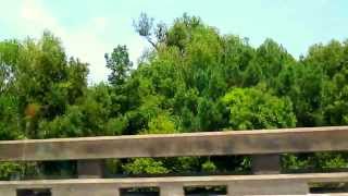 Across the USA with Bob Dylan (Louisiana). 10: Walking down the Highway (Dylan), cover by Paul Hall.