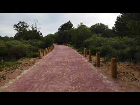 Max Richter - Movement Study ( feat Mari Samuelsen & Robert Ziegler )