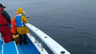 共栄丸のイメージ