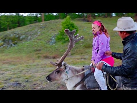 download lagu mp3 mp4 Reindeer Horse, download lagu Reindeer Horse gratis, unduh video klip Reindeer Horse
