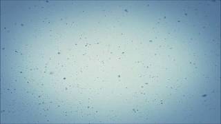 Don't Cry - Klang 클랑(박다은 Park Da Eun)