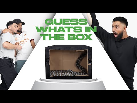 WHAT'S IN THE BOX CHALLENGE - GONE WRONG!!!