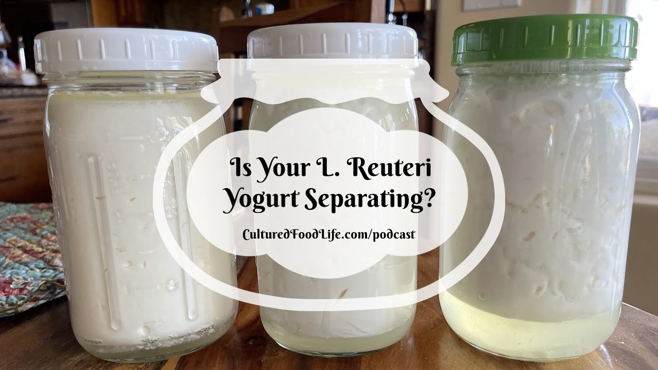 Podcast Episode 267: Is Your L. Reuteri Yogurt Separating?