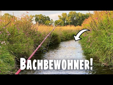 Was lebt hier? Angeln im kleinen Bach.