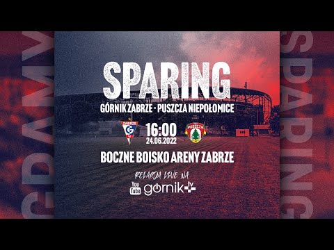 Sparing: Górnik Zabrze - Puszcza Niepołomice