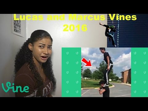 Lucas and Marcus New Vines 2016 (Vine Compilation)
