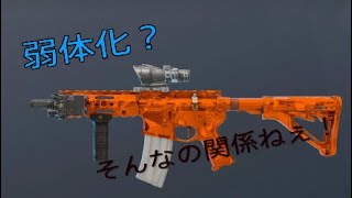 まるで弱体化されたのを感じさせないR4-Cキルクリップ集