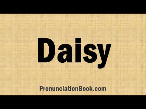 How to Pronounce Daisy