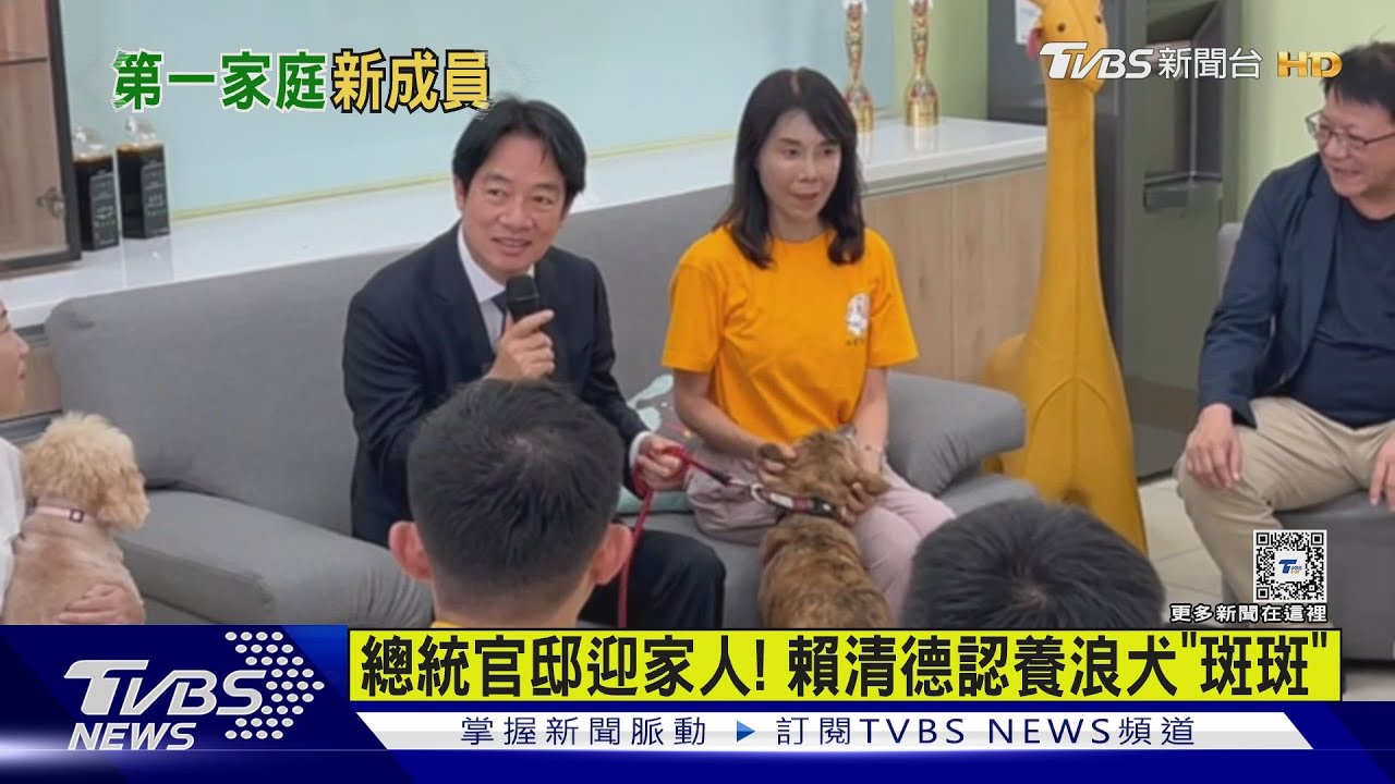 總統官邸迎家人！　賴清德認養浪犬「斑斑」