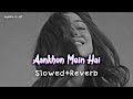 Aankhon Mein Hai Kya Vishwatma Slowed Ñ Reverb