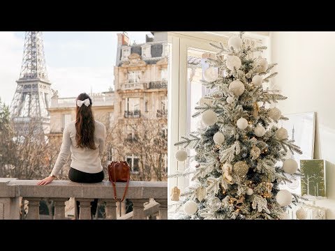 MEGA ALBERO DI NATALE E WEEKEND A PARIGI! Elisabetta Pistoni