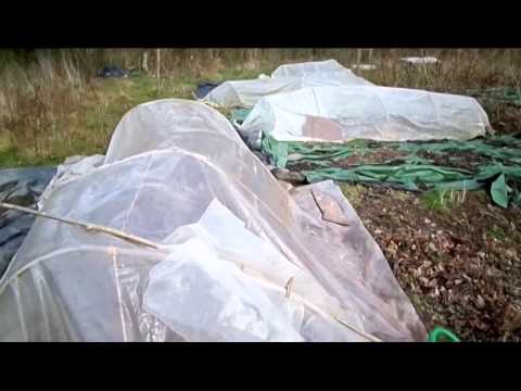 comment construire une serre de jardin