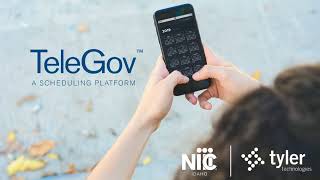 TeleGov