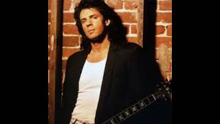 Rick Springfield - Honeymoon in Beirut 1 Hour Loop