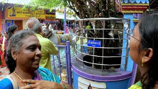 Temple video