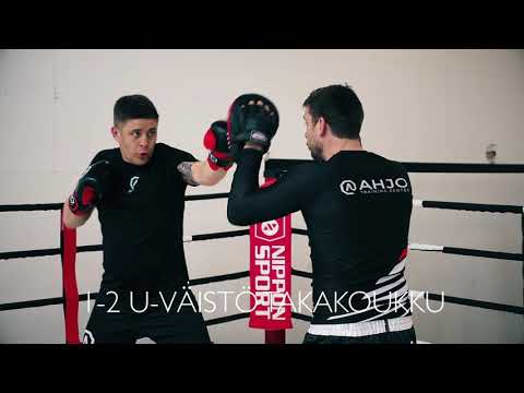 Nyrkkeily: Etusuora, takasuora, u-väistö, takakoukku