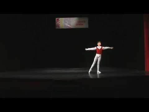 Darius Florian Catana - Primavara Artelor 2014 Bacau