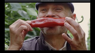 Organic Sweet Pepper Jam