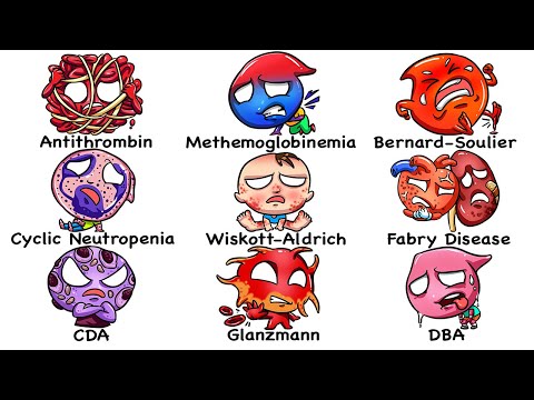 Every Deadly Blood Disorder Explored in 16 Minutes