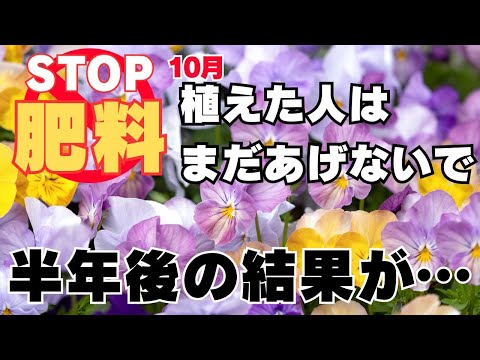 春に良いスタートを切るために、キョウチクトウにいつ肥料を与えればよいでしょうか?なんの天然肥料？  庭園