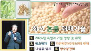 ✨[최신 논콩 재배기술] 2024년 폭염과 가뭄으로 논콩 재배 힘드셨죠~?  경감대책 및 재배방법 알려드립니…