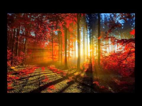 Broken Down (Shogun Remix) - Tritonal (featuring Meredith Call)