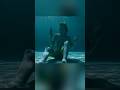 Night Swim is a movie about a HAUNTED SWIMMING POOL! (Produced by James Wan and Jason Blum) #movie