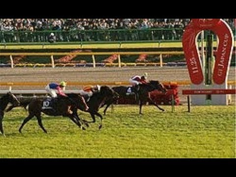 2018 JRA Japan Cup
