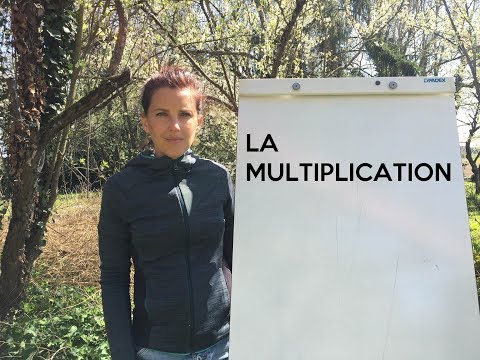 Mathématiques CE1 Picbille page 110 et 111