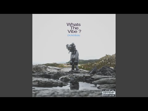 w h a t s . t h e . v i b e ?