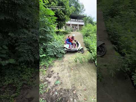 Why does this dog steal my food every day #139