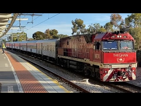 Ghan Locos and NR66 Movember - Rail Action With The 135 Year-old Overland Pt #2