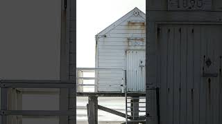 Summer wind #vocaloid #音街ウナ #初音ミク