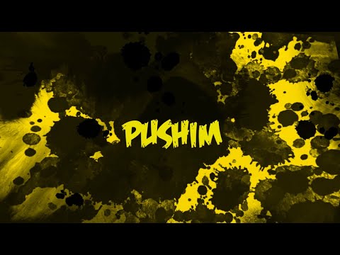 Skydan, скало, Stels - PUSHIM (Lyric Video)