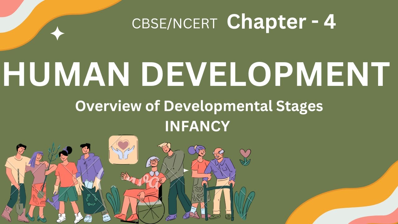 Class 11 psychology Human Development | Overview of Developmental Stages | Chapter - 4 | CBSE |