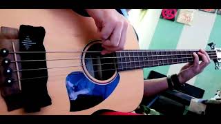 Sigur Rós - Illgresi (Acoustic Bass Cover)