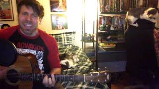 The Queers - Teenage Bonehead (Acoustic Cover)