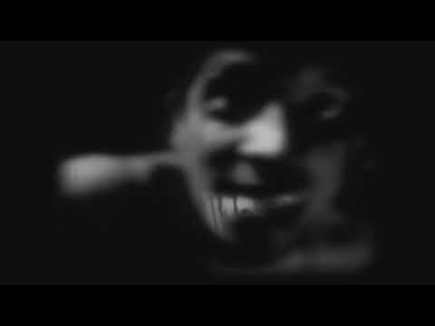 Pestolaer - New Decade