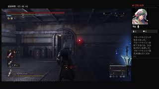 Lies of P DLC プレイ