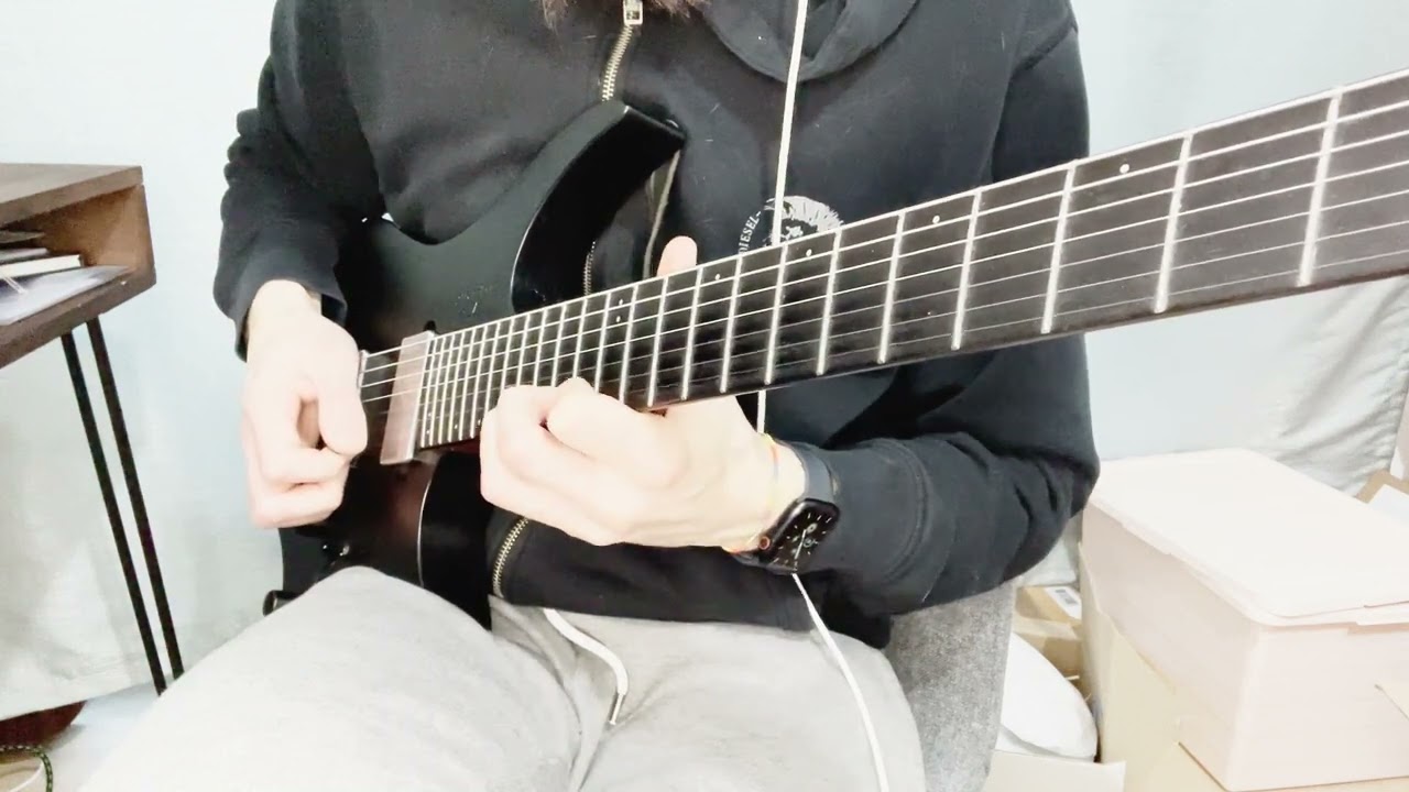 Roberto Barlocci playing the harmonized Hotel California outro solo on electric guitar
