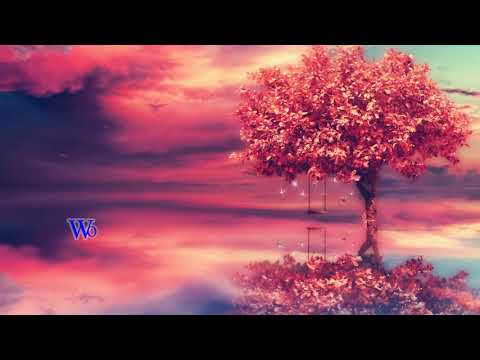 Djaffar Ben Ali (Tiyari El Hayati) - Matsozi male (Paroles)