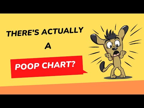 There's a Poop Chart? I Never Knew That!