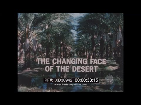“THE CHANGING FACE OF THE DESERT” DISCOVERY ‘70 DATE FARMING IN COACHELLA VALLEY, CALIFORNIA XD30942