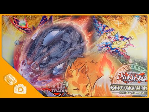 Europa Meisterschaft 2022 (Antwerpen) - Turnierbericht