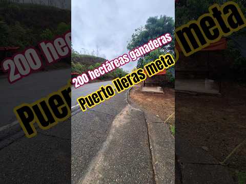 finca ganadera en puerto lleras meta 200 hectáreas #puertollerasmeta #realestate #fincallanosariari